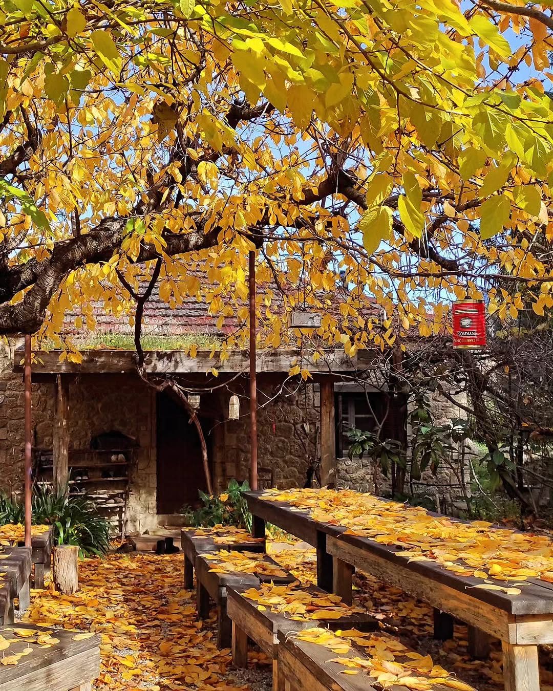 Re-Green retreat center garden